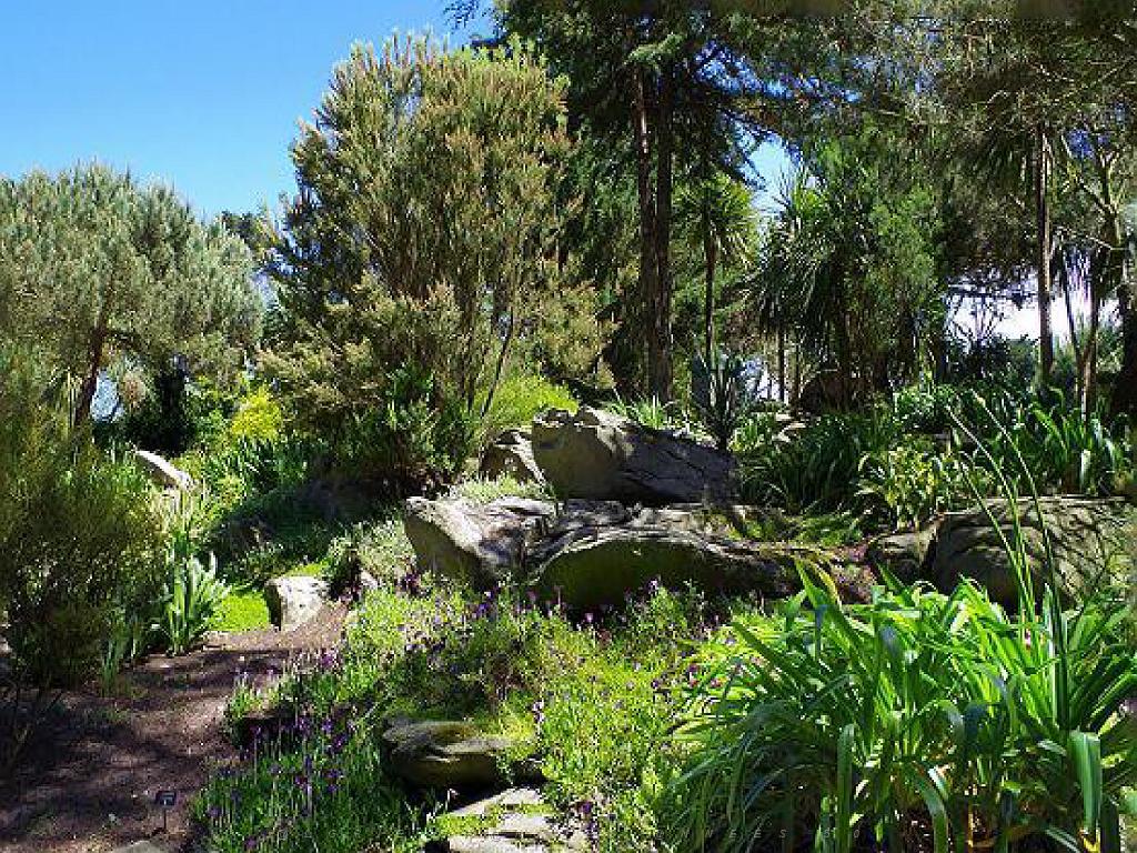 130 Ile de Batz Jardin Georges Delaselle_000026.jpg